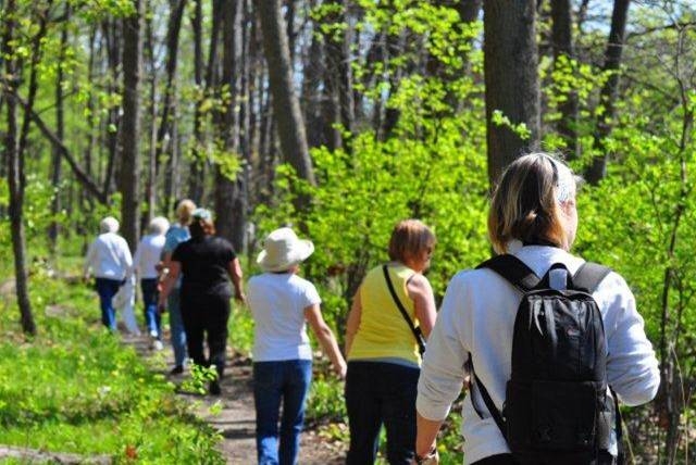 Pinery Park Walking Club Grand Bend Area Community Health Centre