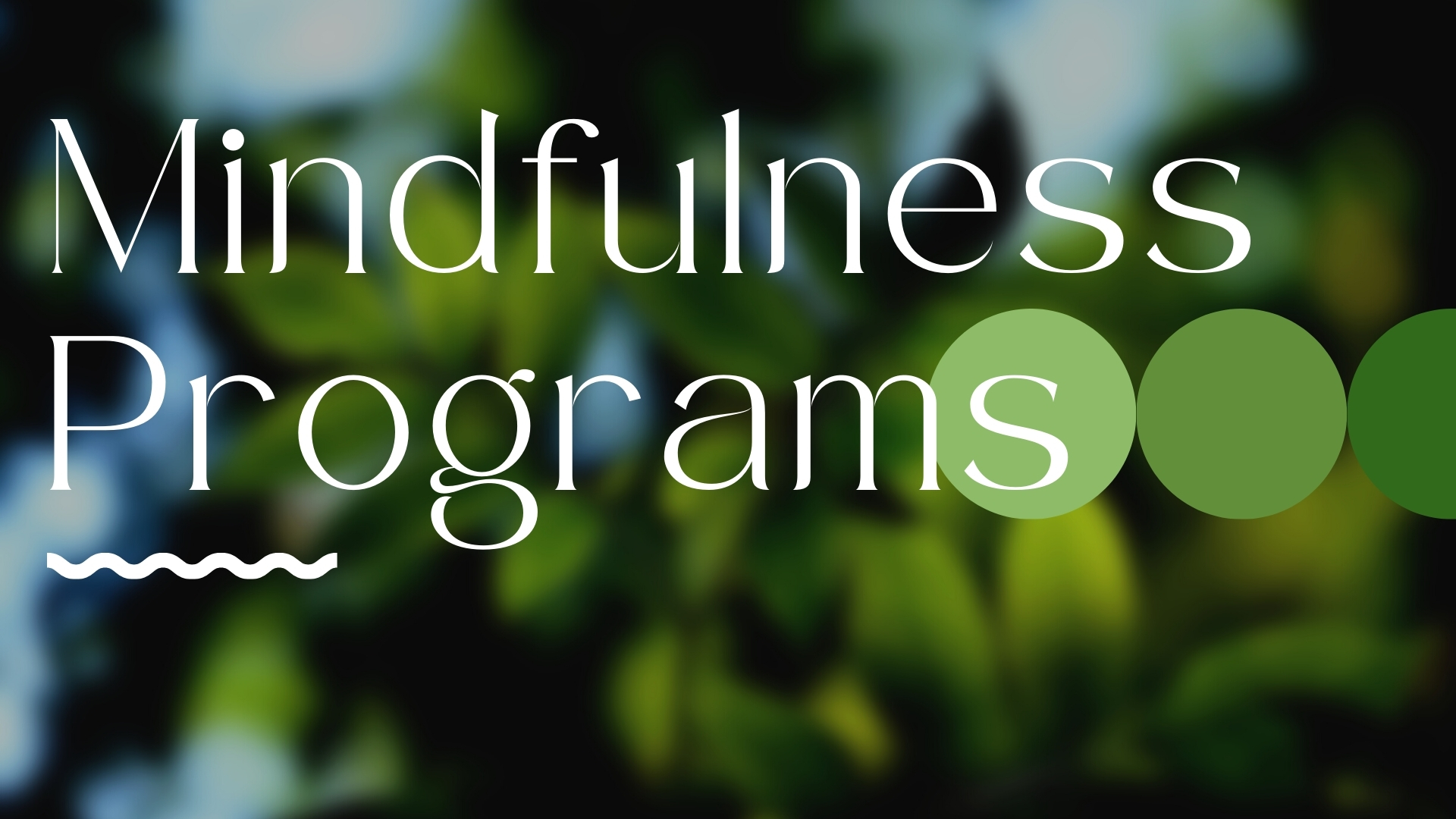 mindfulness programs